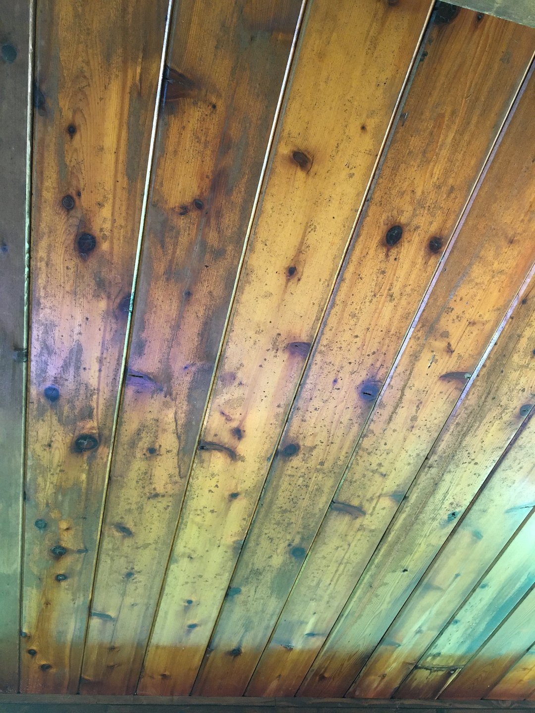  Restore Your Cedar Ceiling with Expert House Washing in Hellertown, PA