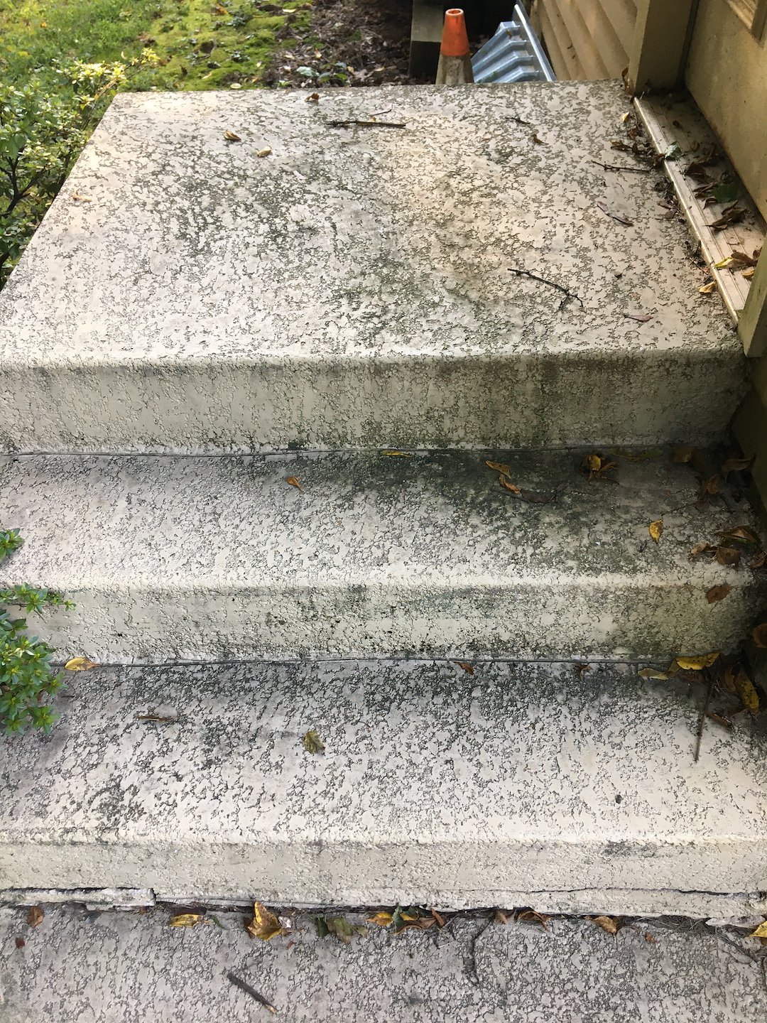 ✨ Sparkling Clean Walkway & Front Steps in Easton PA✨