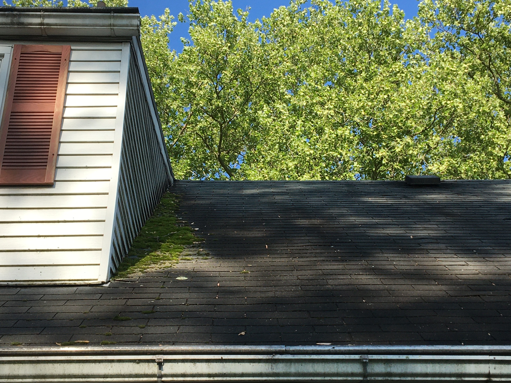 #1 Roof Cleaning Pros in Bethlehem PA