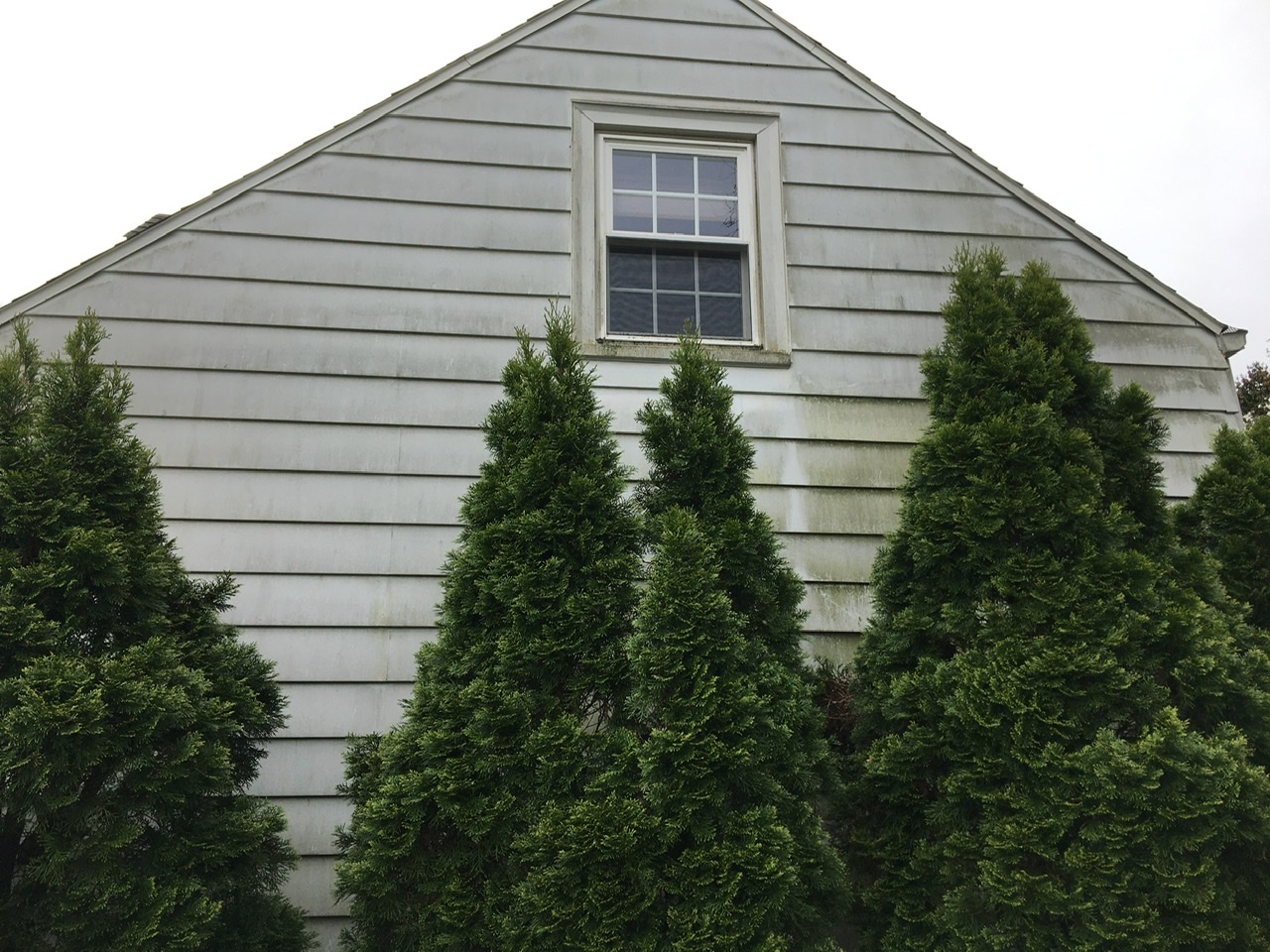 Amazing House Washing transformation in Bethlehem PA