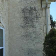 Amazing-mildew-removal-House-Washing-in-Easton-PA 1