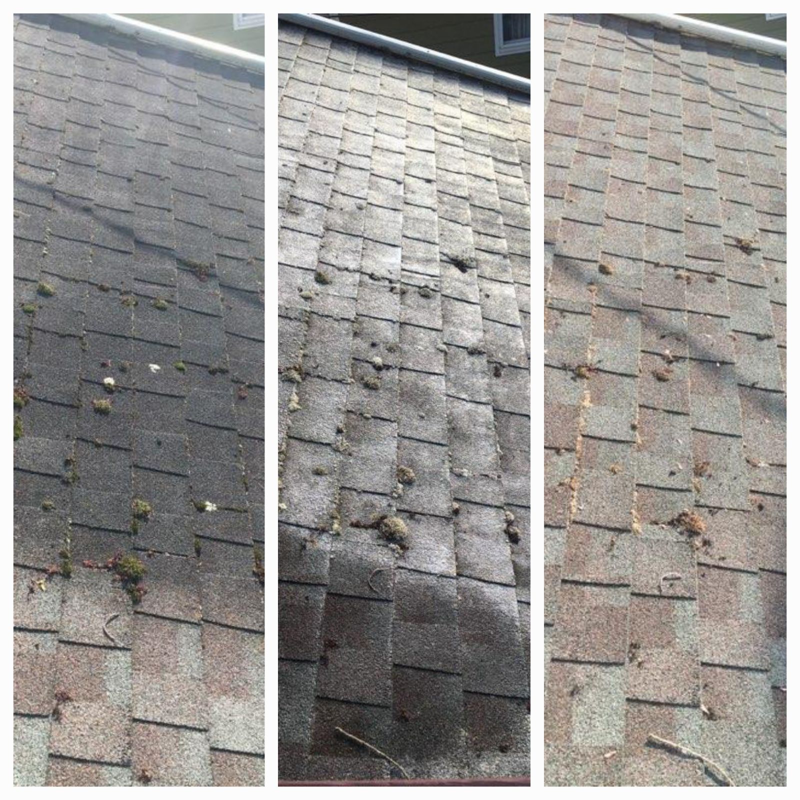 Professional Roof Cleaning and Restoration Service in Bethlehem PA