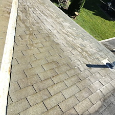 Water-Brothers-Pressure-Washing-performed-a-Gentle-Roof-Cleaning-in-Hellertown-PA 3